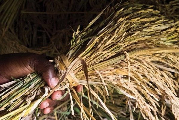 We’re seeing the effects of budget instability on the ground